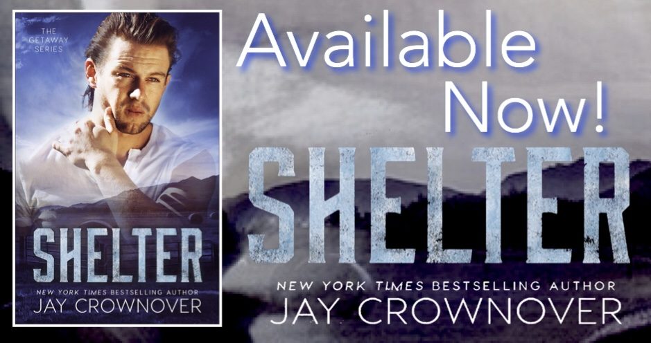 shelter-available-now-4973599